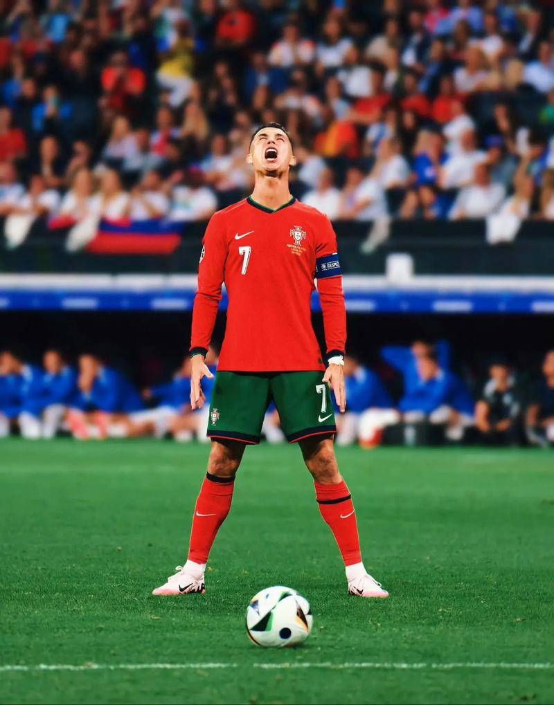 德约科维奇 德约科维奇