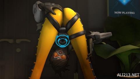 了详细的规 了详细的规